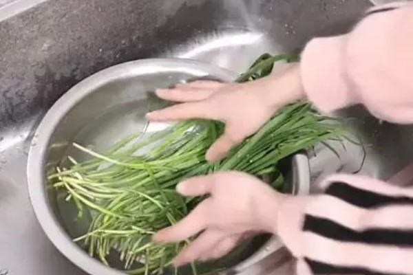 韭菜多久可以割一次,每隔二十到二十五天割一次