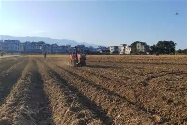 耕作有哪些方式,分为翻耕、松耕、旋耕等类型