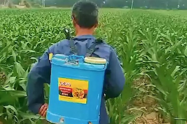 鸭跖草的防治方法，根据作物品种决定所用药物
