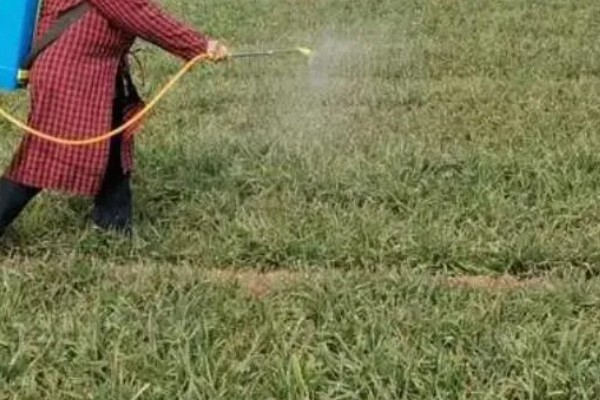 鸭跖草的防治方法，根据作物品种决定所用药物