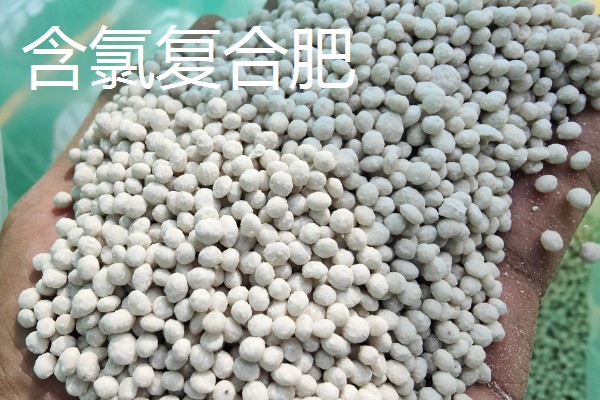 含氯复合肥有什么优缺点,可增强作物的抗病能力但容易导致土壤板结