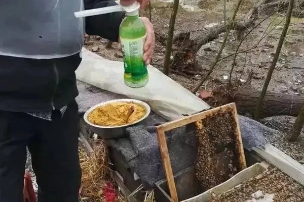 怎么给蜜蜂换王，以下三种方法均可采取