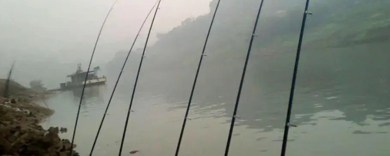 37调的鱼竿简介，属于硬调竿