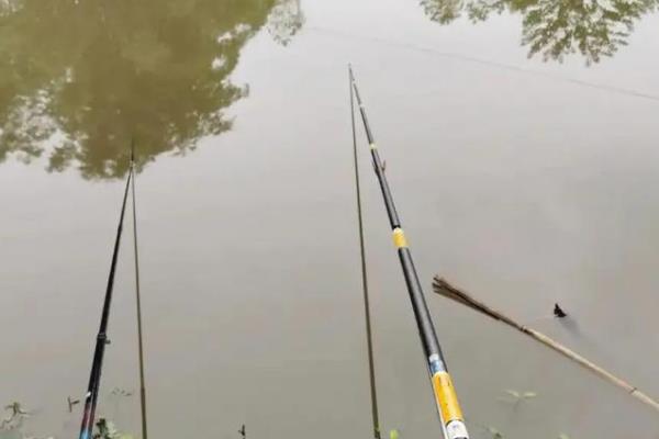 野钓用什么钩可以大小通吃，不管用哪种鱼钩都不能大小通吃