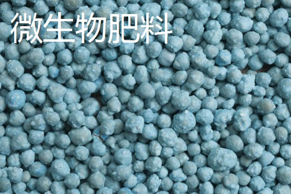 微生物肥料和化肥的关系,是一种互补、相辅相成的关系
