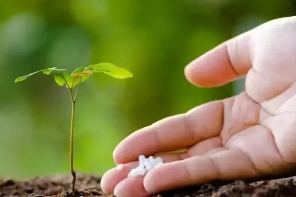 微生物肥料和化肥的关系,是一种互补、相辅相成的关系