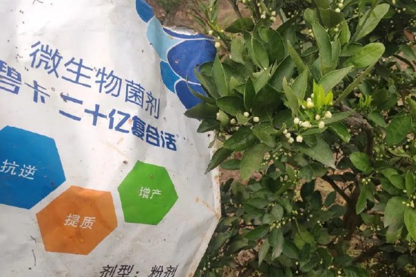 微生物肥料和化肥的关系,是一种互补、相辅相成的关系
