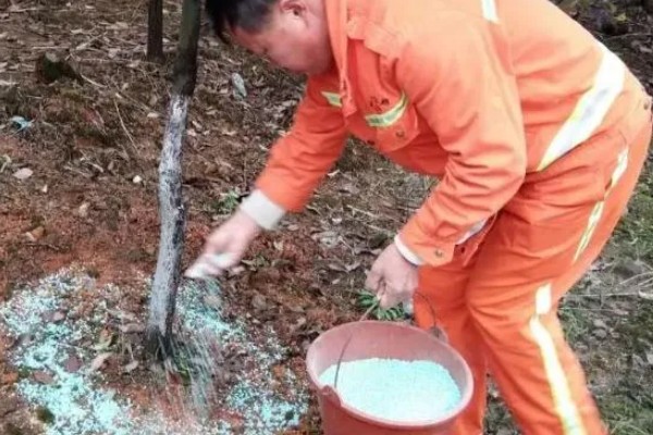 微生物肥料和化肥的关系,是一种互补、相辅相成的关系