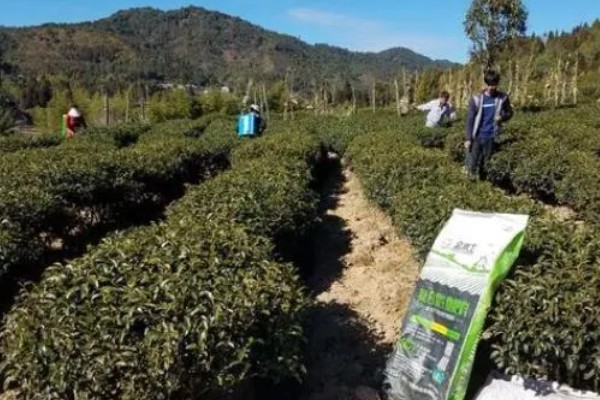 微生物肥料和化肥的关系,是一种互补、相辅相成的关系