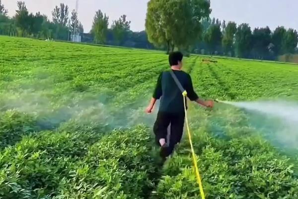 农用土霉素怎么使用，研磨成粉再兑水喷雾