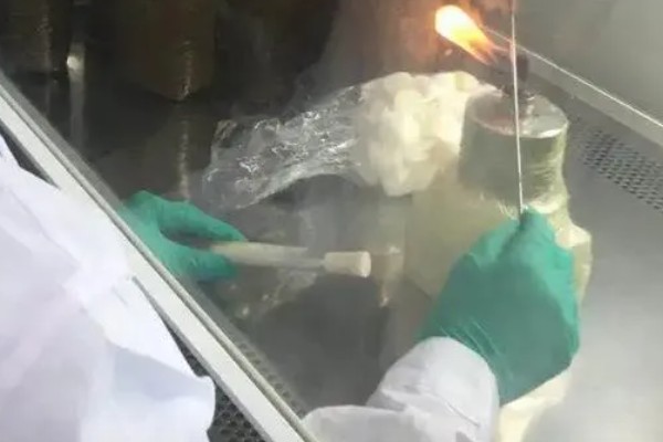 平菇菌包怎么种植,每天要对菌包两头喷水