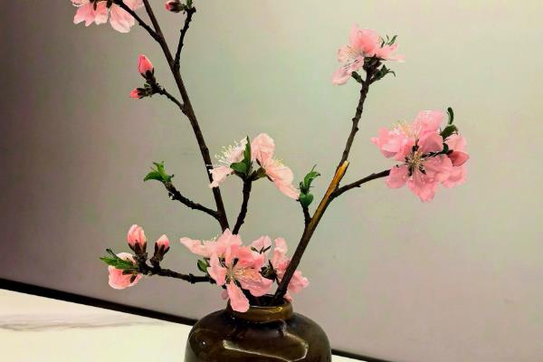 水插桃花枝能不能开花，带有花蕾的花枝可以开放