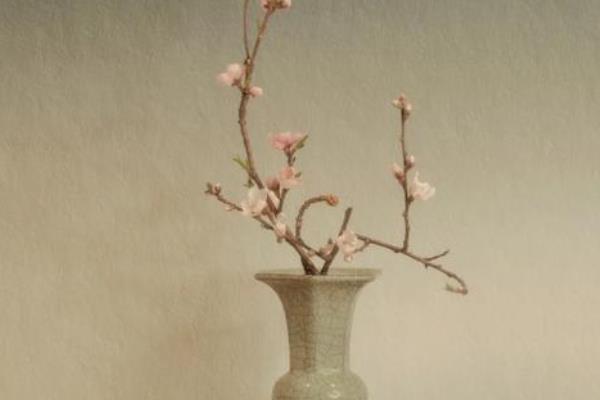 水插桃花枝能不能开花，带有花蕾的花枝可以开放