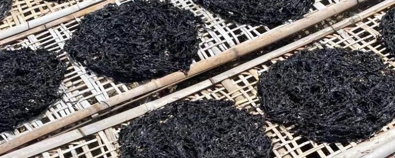 广东饶平县的特产，有蚝烙、紫菜等