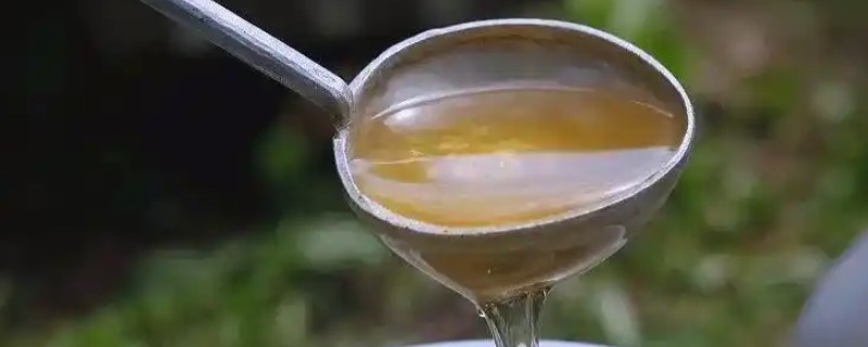 为什么乌桕蜜价格便宜，因为其口感较差