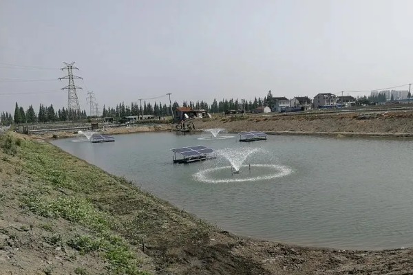 养鱼如何建造池塘，建在河流或湖泊附近