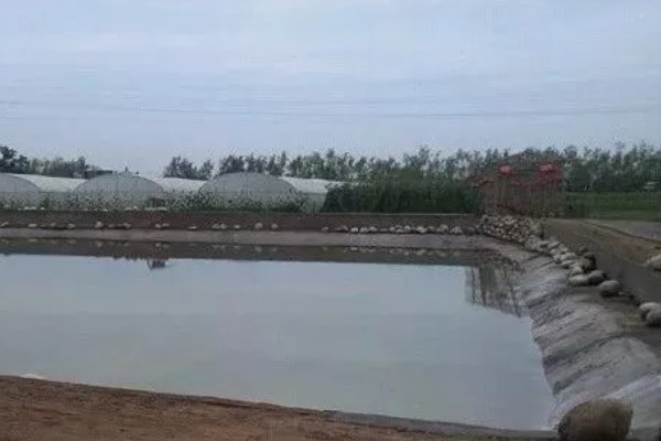 养鱼如何建造池塘，建在河流或湖泊附近