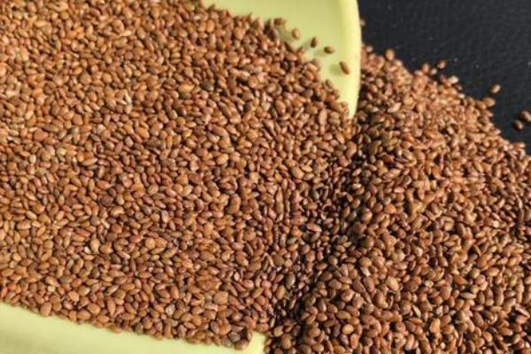 猕猴桃的种植方式，标准株行距为4.6米×6米