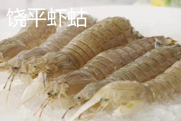 广东饶平县的特产,有蚝烙、紫菜等