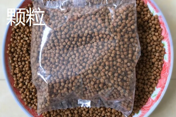 底滤缸鱼食总被吸走怎么办，可以在喂食的时候关闭水泵