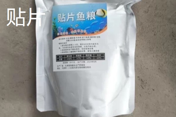 底滤缸鱼食总被吸走怎么办，可以在喂食的时候关闭水泵
