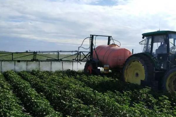 棉花后期喷施什么肥料,可以喷氮、磷、钾等