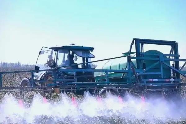 棉花后期喷施什么肥料,可以喷氮、磷、钾等