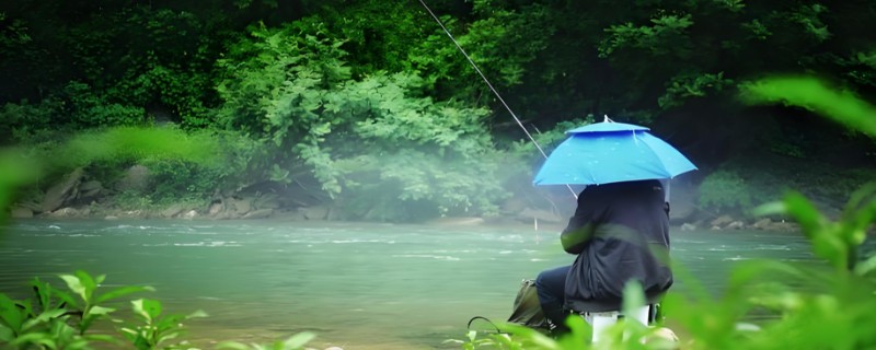 钓鲶鱼的方法，可手竿底钓、海竿底钓等