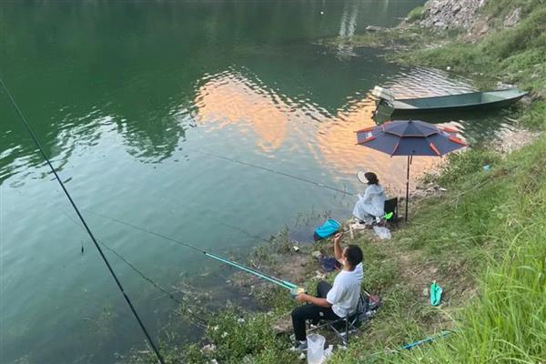 钓鲶鱼的方法，可手竿底钓、海竿底钓等