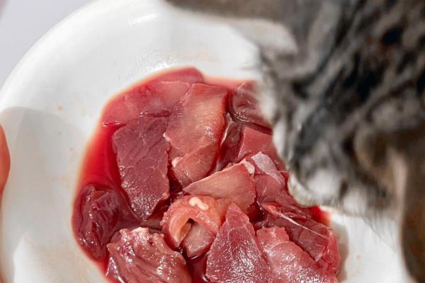 猫咪能吃生骨肉吗,可以吃但不能经常饲喂