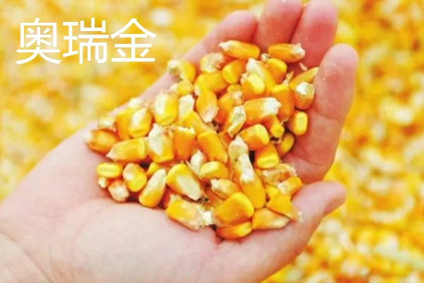 玉米种子什么品种好,推荐荃银高科、奥瑞金等