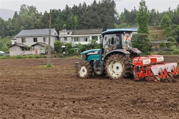 兆和815玉米种的特征特性,从出苗至成熟需要121天左右