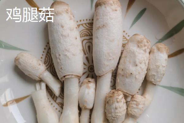 鸡腿菇与杏鲍菇的区别,外形和颜色均不同