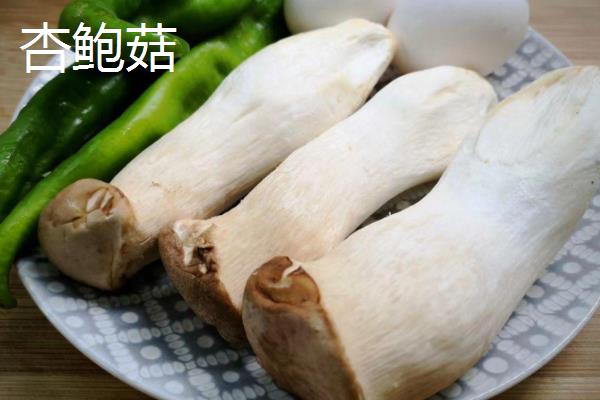 鸡腿菇与杏鲍菇的区别,外形和颜色均不同