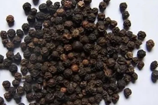 胡椒木的作用,可以观赏也能入药