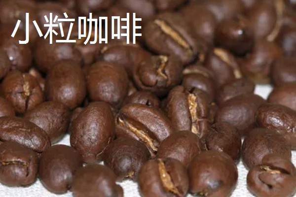 云南的优质土特产有哪些,普洱茶会随着时间逐渐升值